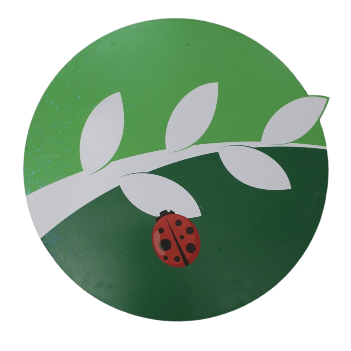 Remove-bg.ai_1709804773648